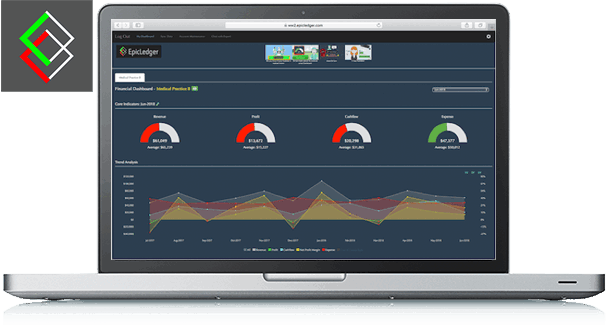 EpicLedger Financial Dashboard